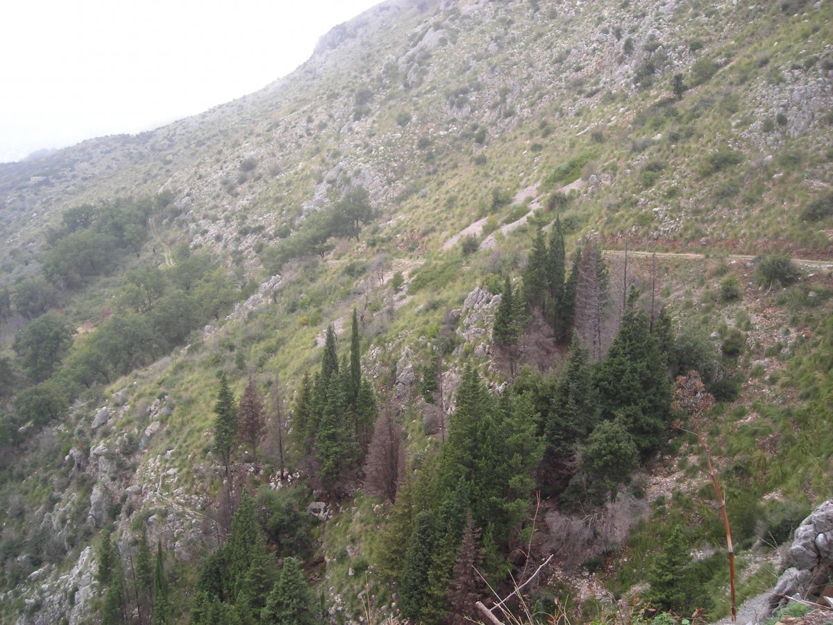DSCN2565.JPG
