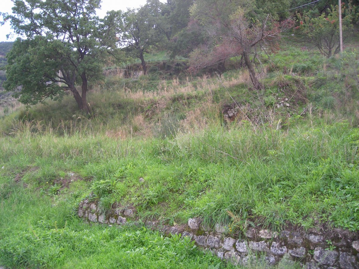 DSCN2594.JPG