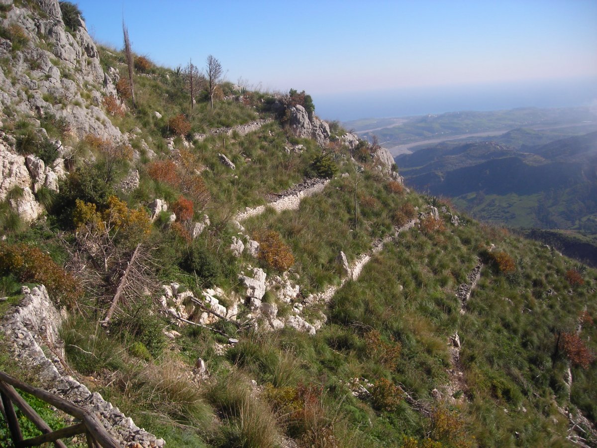 DSCN2685.JPG