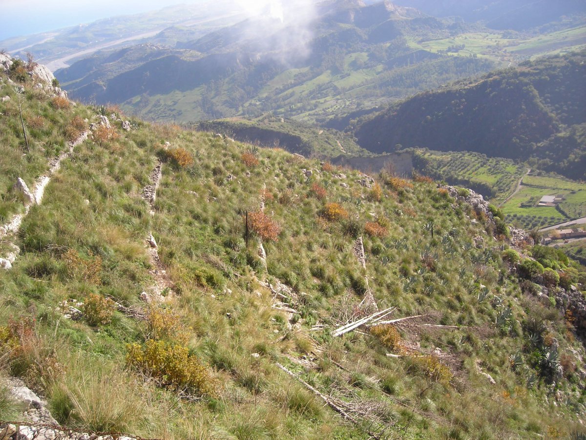 DSCN2686.JPG