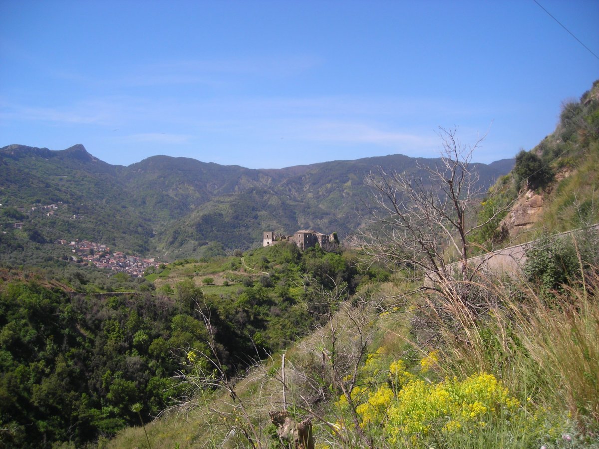 DSCN2872.JPG