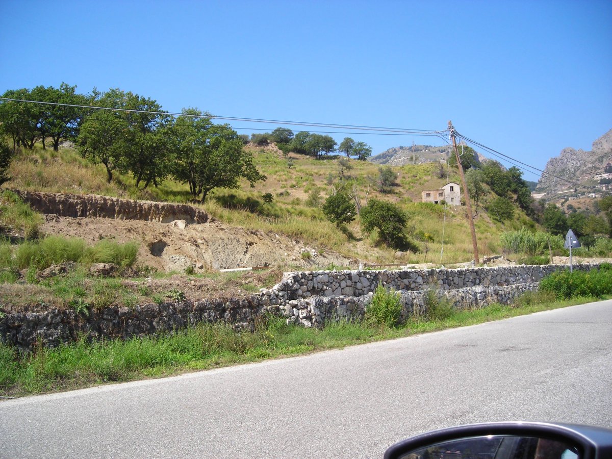 DSCN4523.JPG