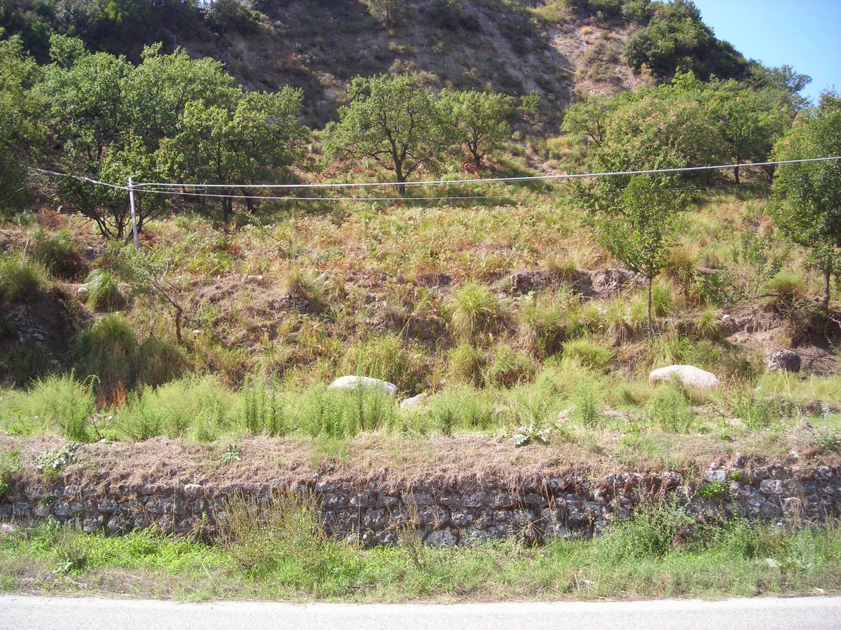 DSCN4524.JPG