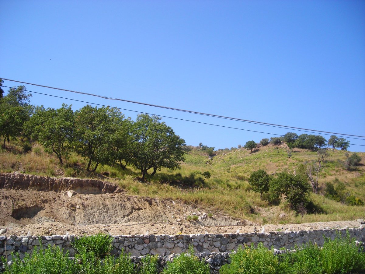 DSCN4525.JPG