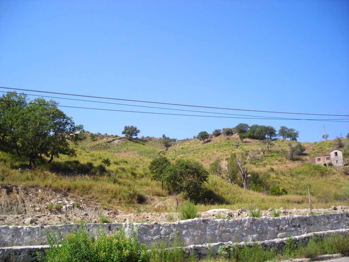 DSCN4526.JPG