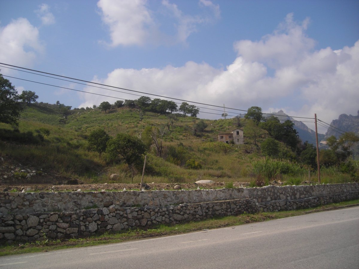 DSCN4598.JPG