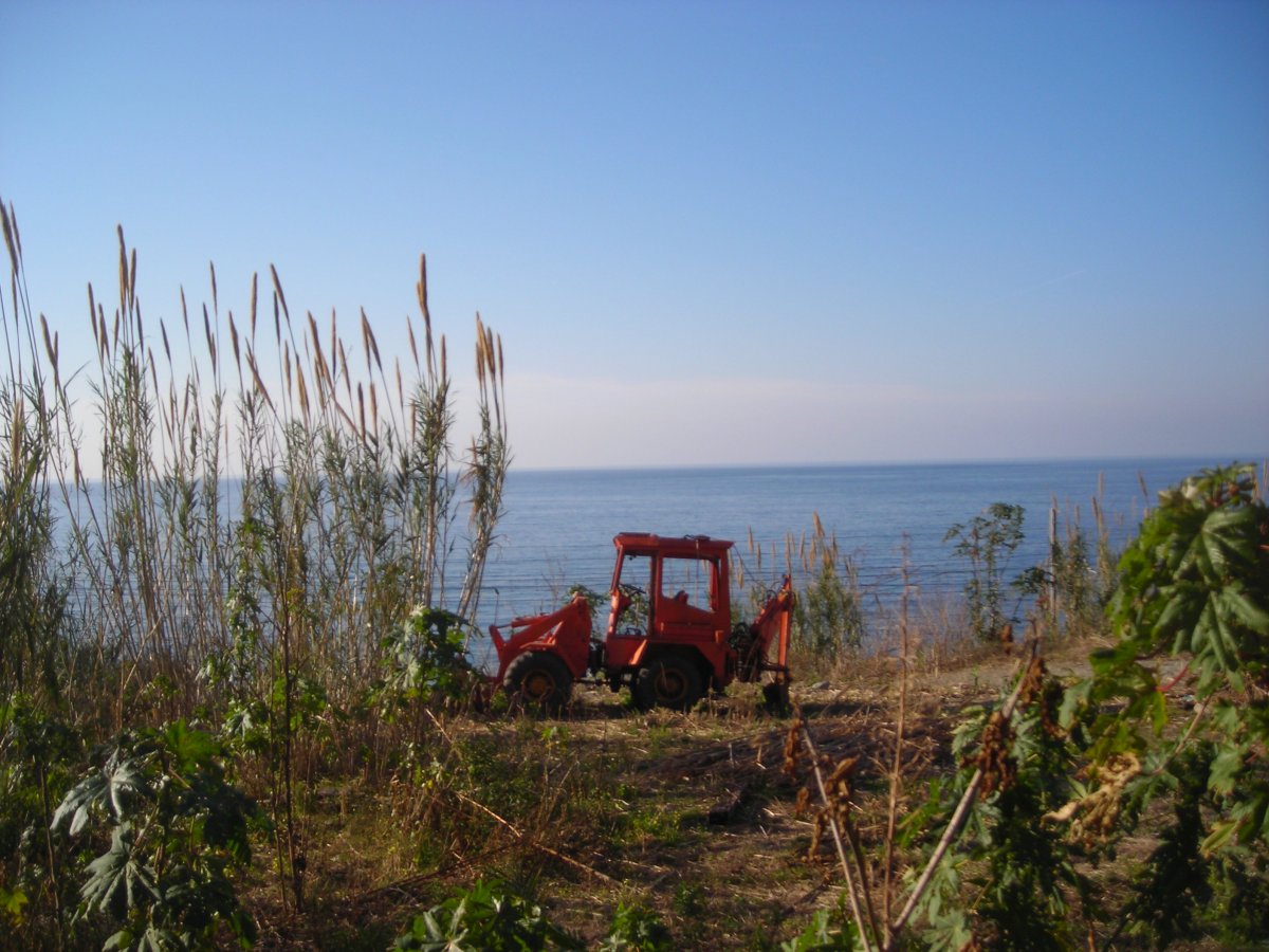 DSCN4676.JPG