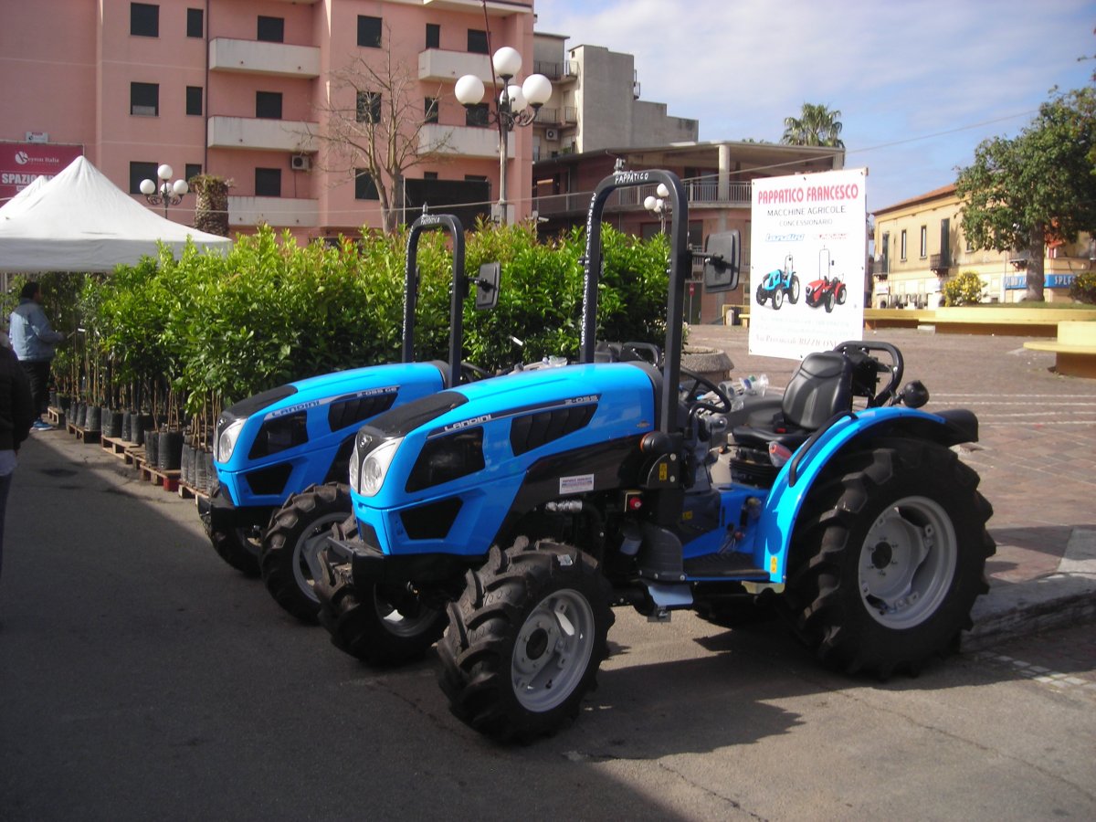DSCN4817.JPG