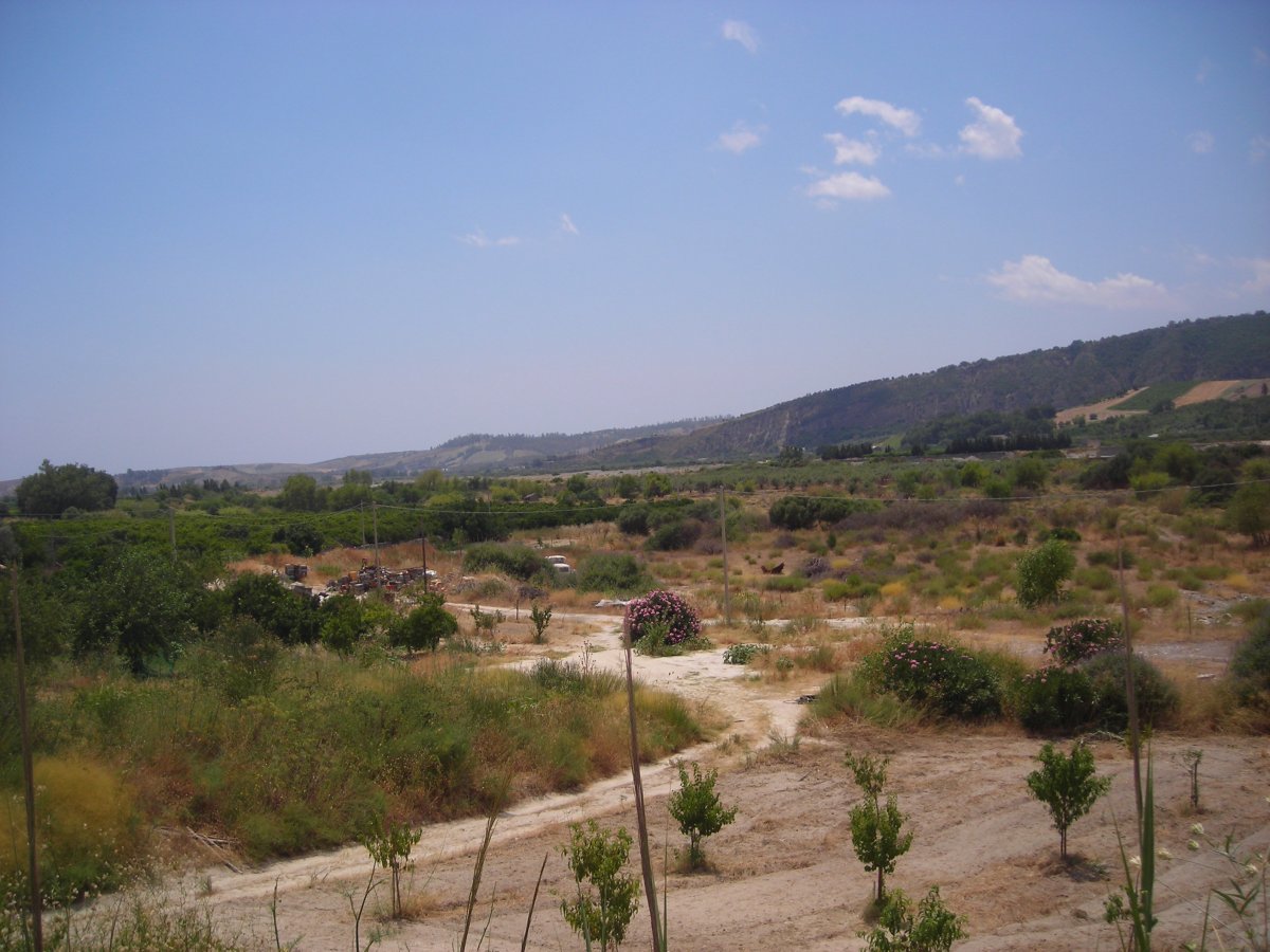 DSCN5000.JPG