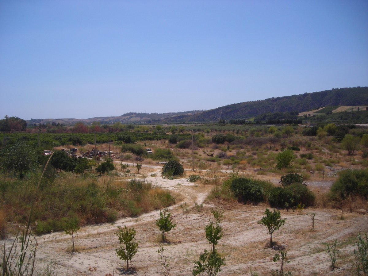 DSCN5046.JPG