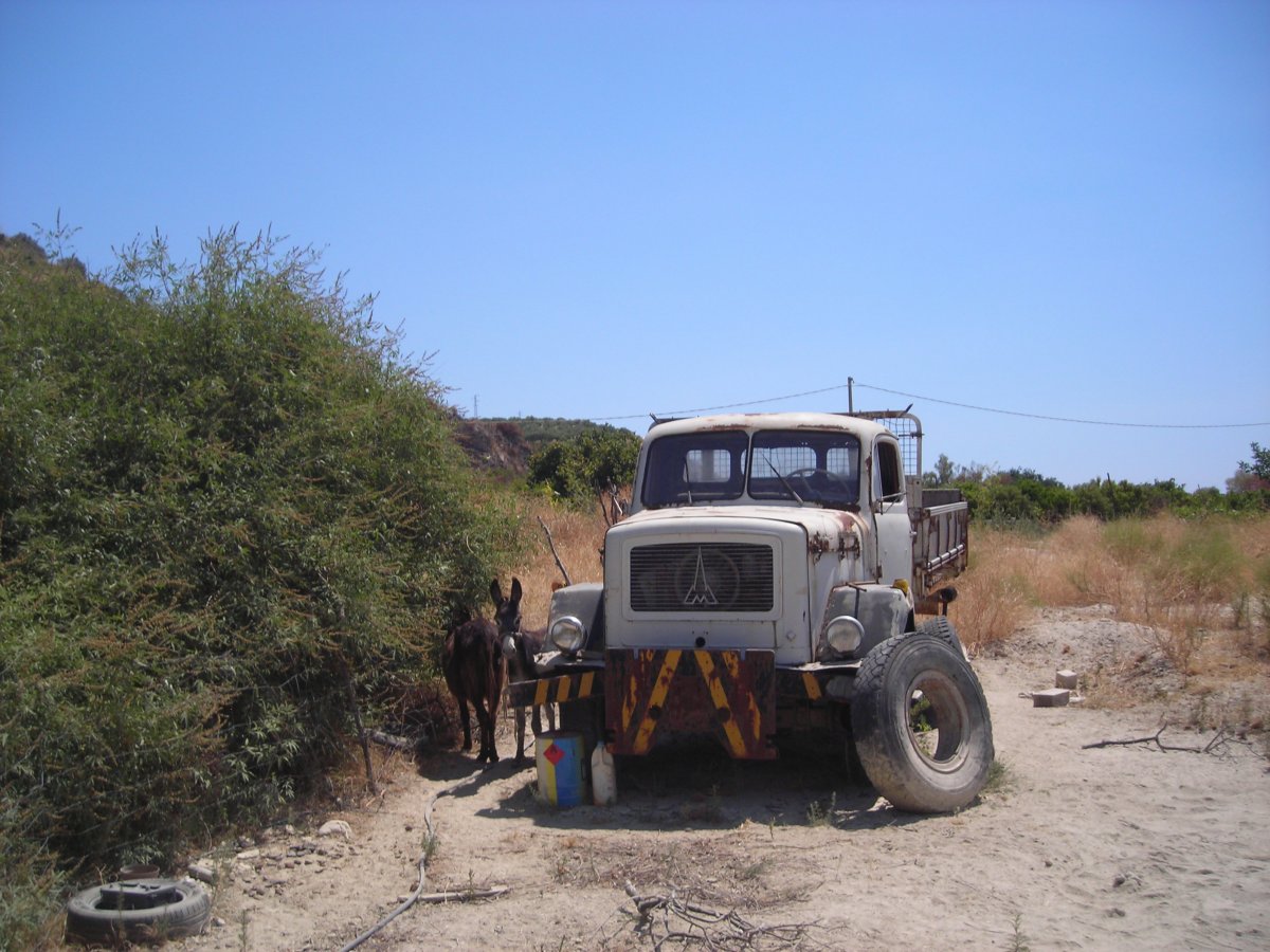 DSCN5054.JPG