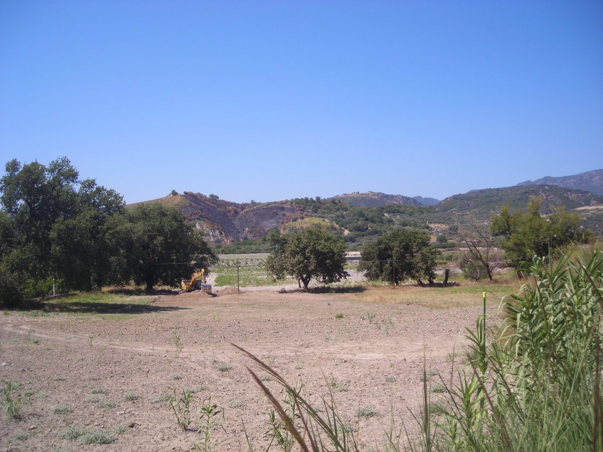 DSCN5220.JPG