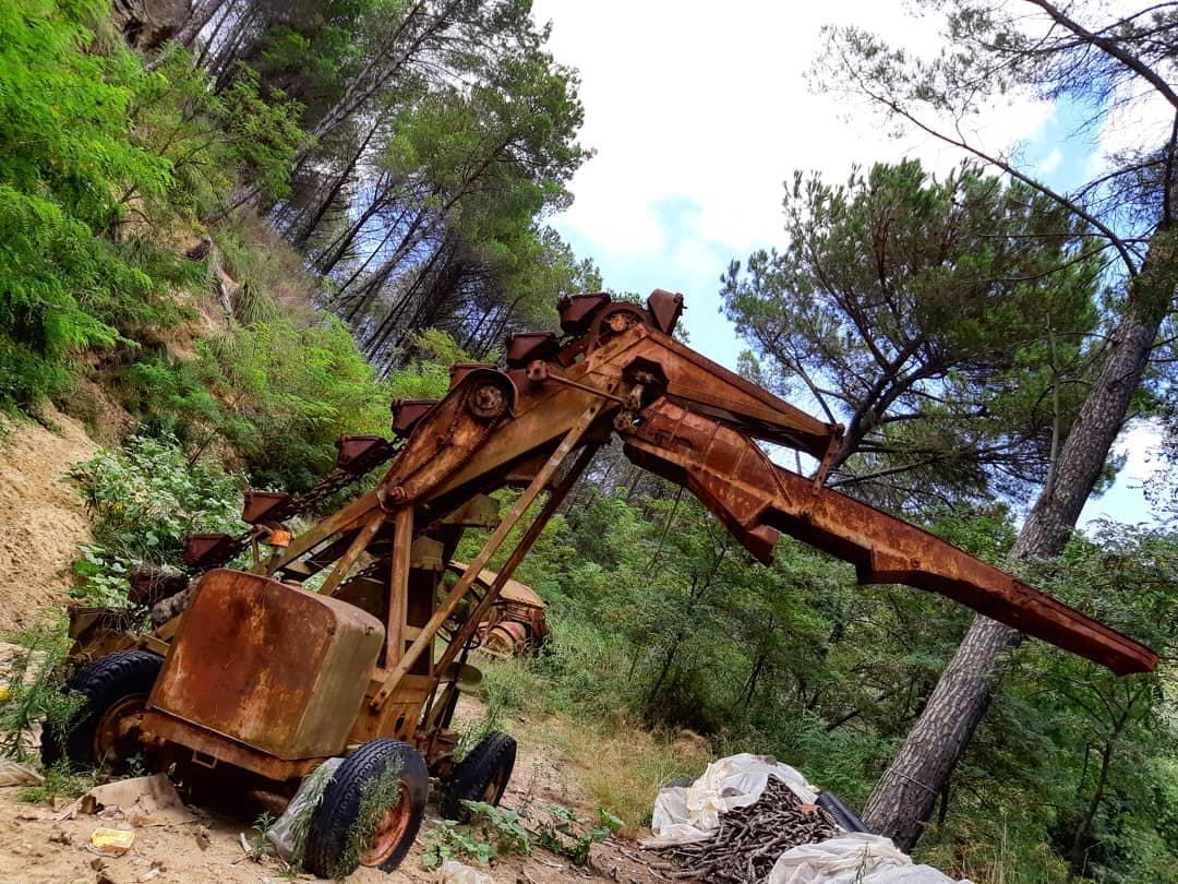 escavatrice a noria torreggiani.jpg