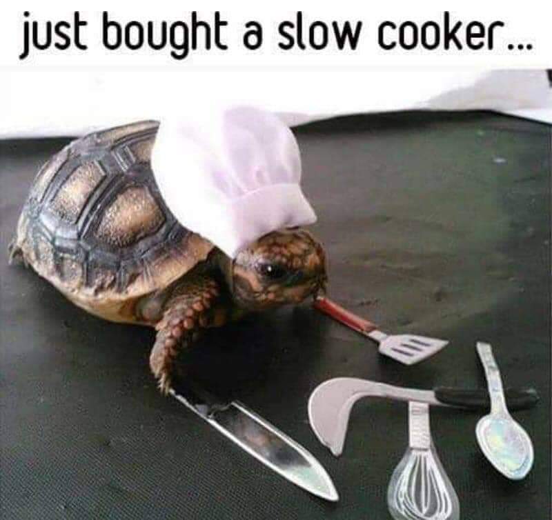 FB_IMG_1551270025629.jpg