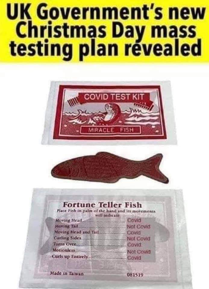 FB_IMG_1608583812891.jpg
