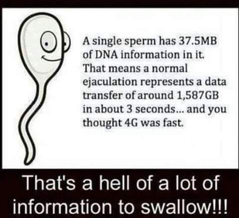 FB_IMG_1617814554800.jpg