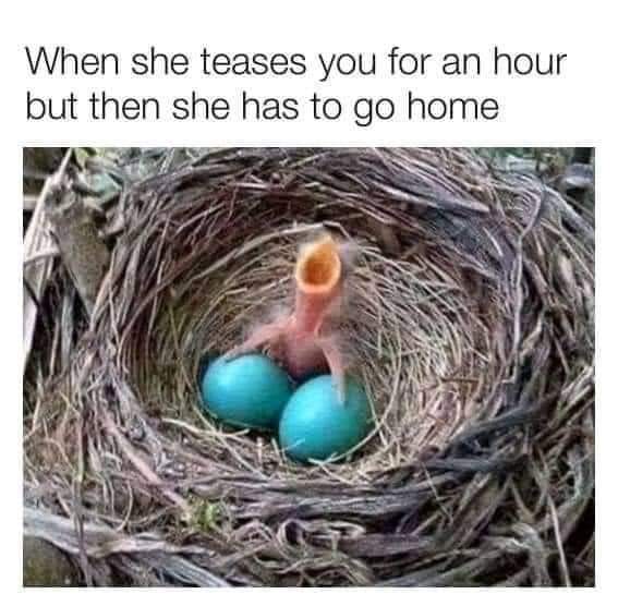 FB_IMG_1627291248461.jpg