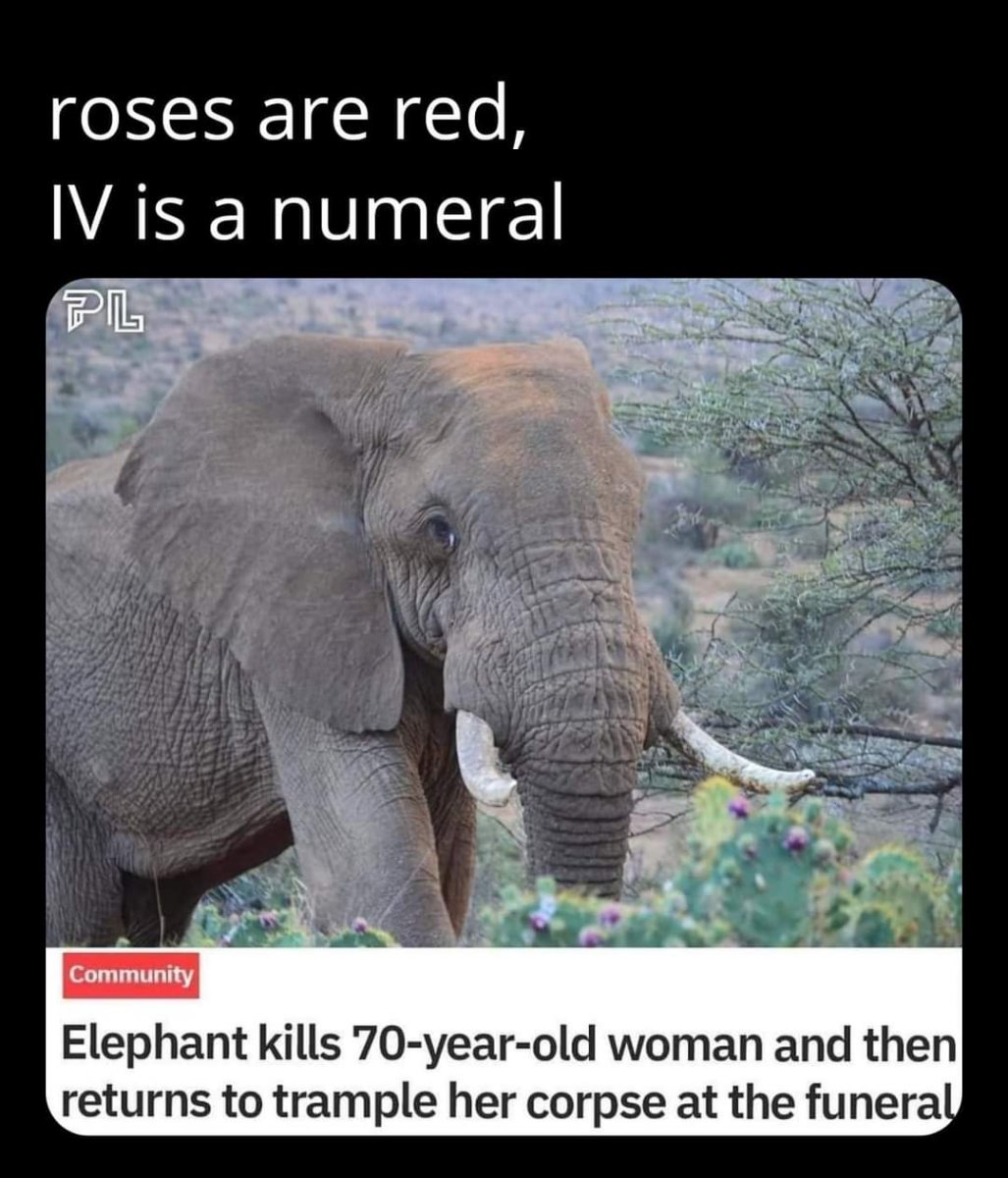 FB_IMG_1655672650968.jpg