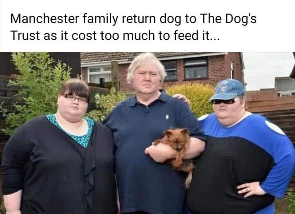 FB_IMG_1655929964321.jpg