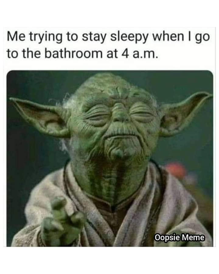 FB_IMG_1668109953029.jpg