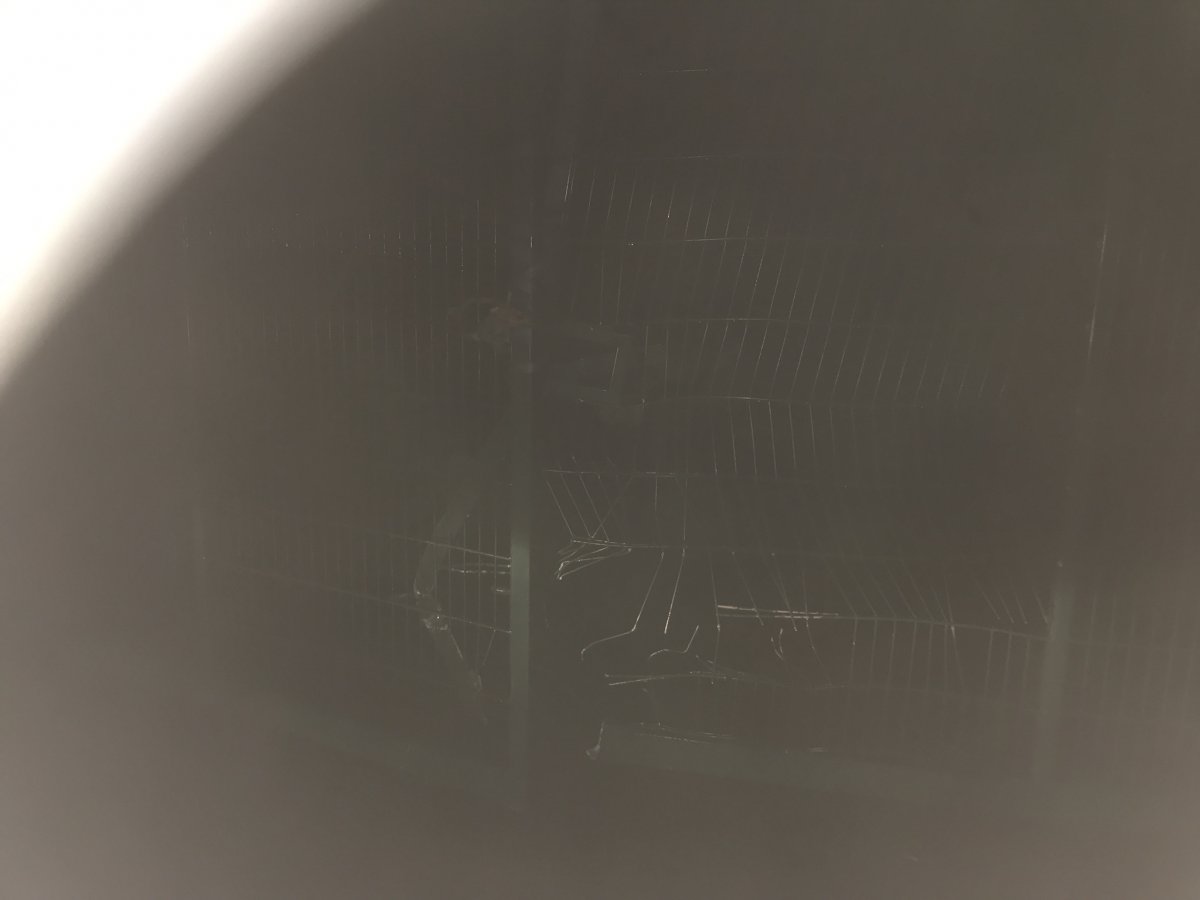 FC7FED8E-B0CF-45FA-A161-7E9991D5143D.jpeg
