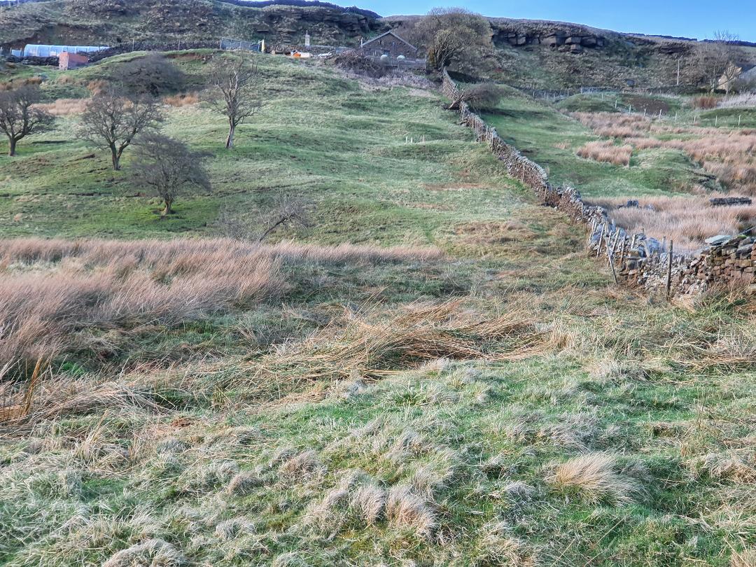 Footpath.jpg