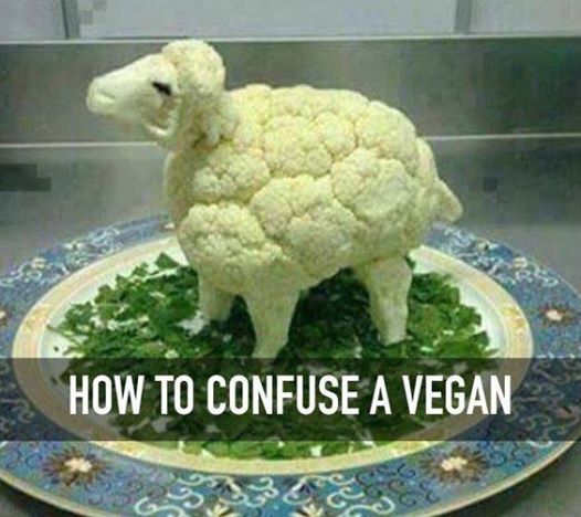 how to confuse a vegan.jpg