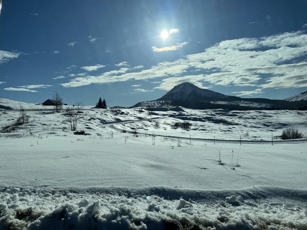 IMG_0086.jpeg