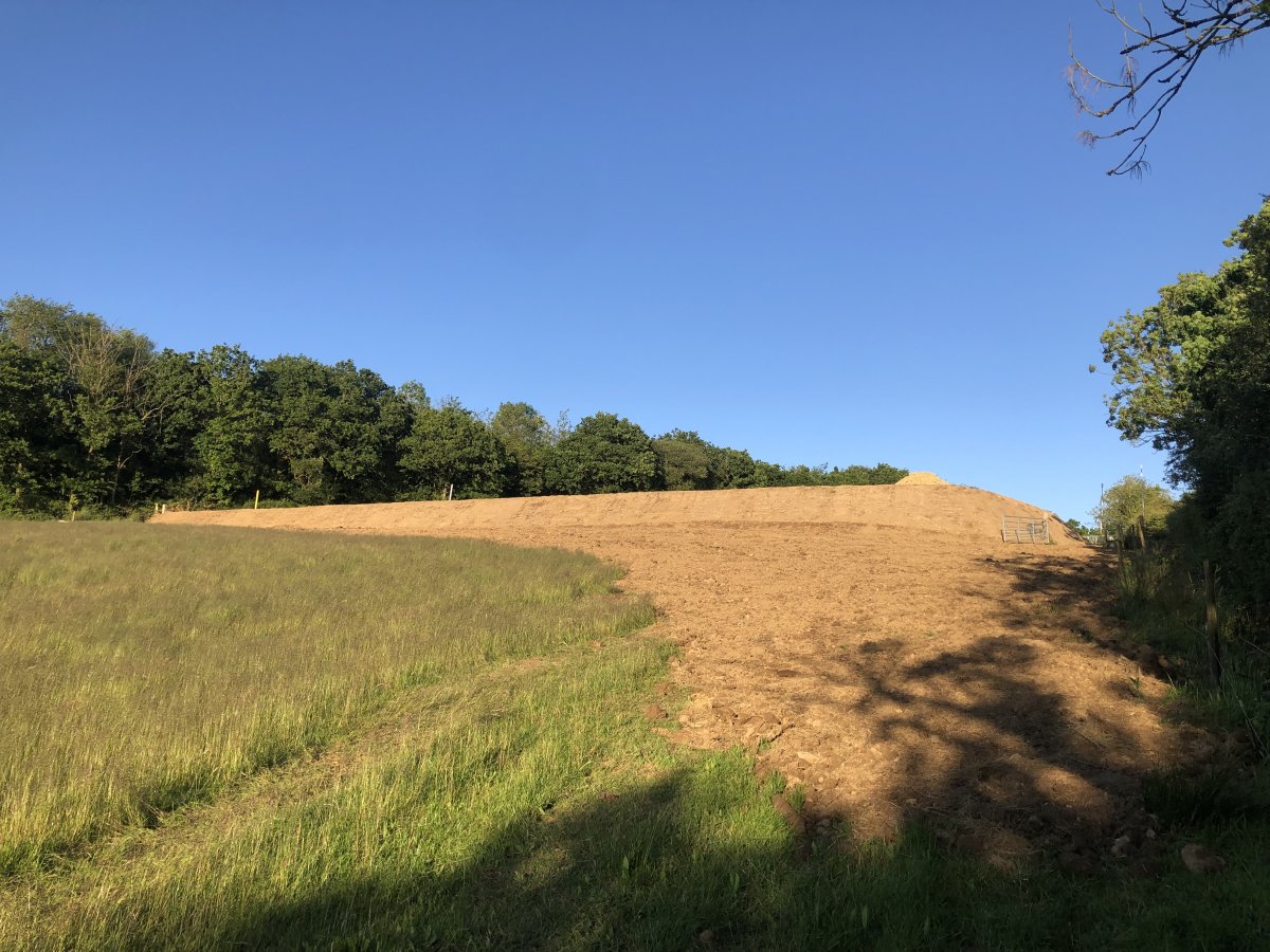 IMG_0708.jpeg