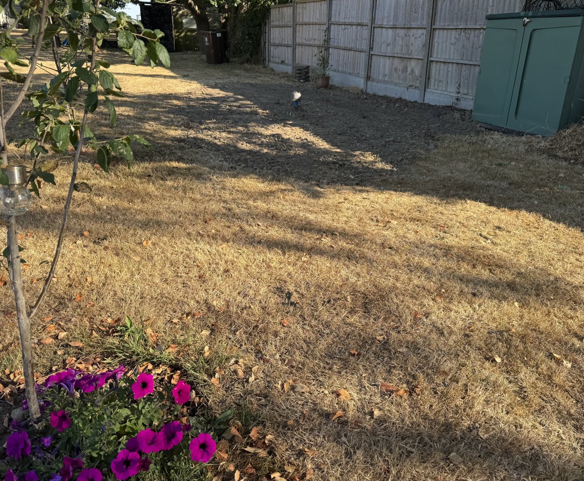 IMG_1513.jpeg