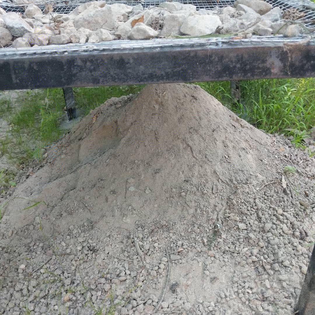 IMG_20200707_080127_973.jpg