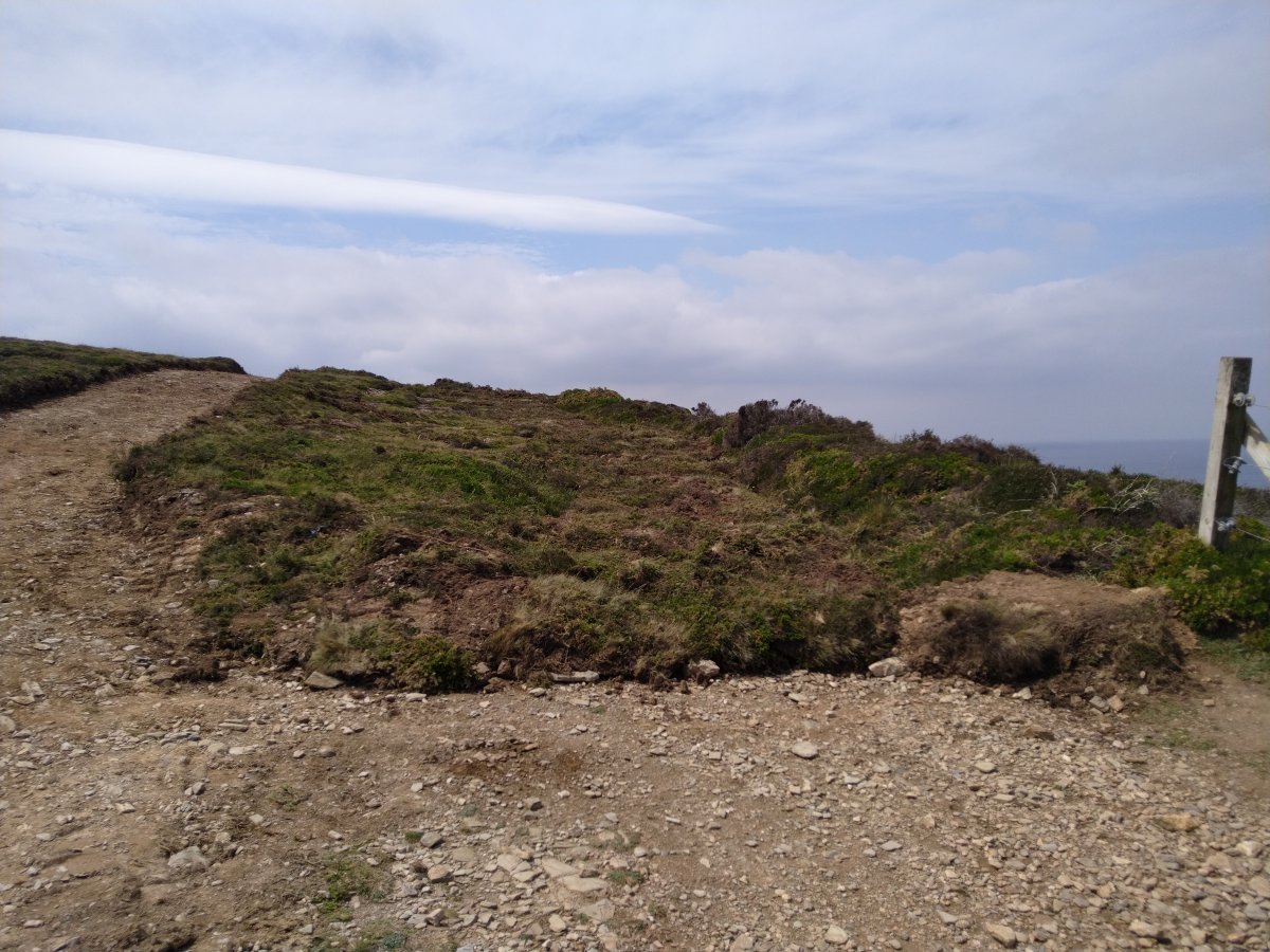 IMG_20210602_124722.jpg