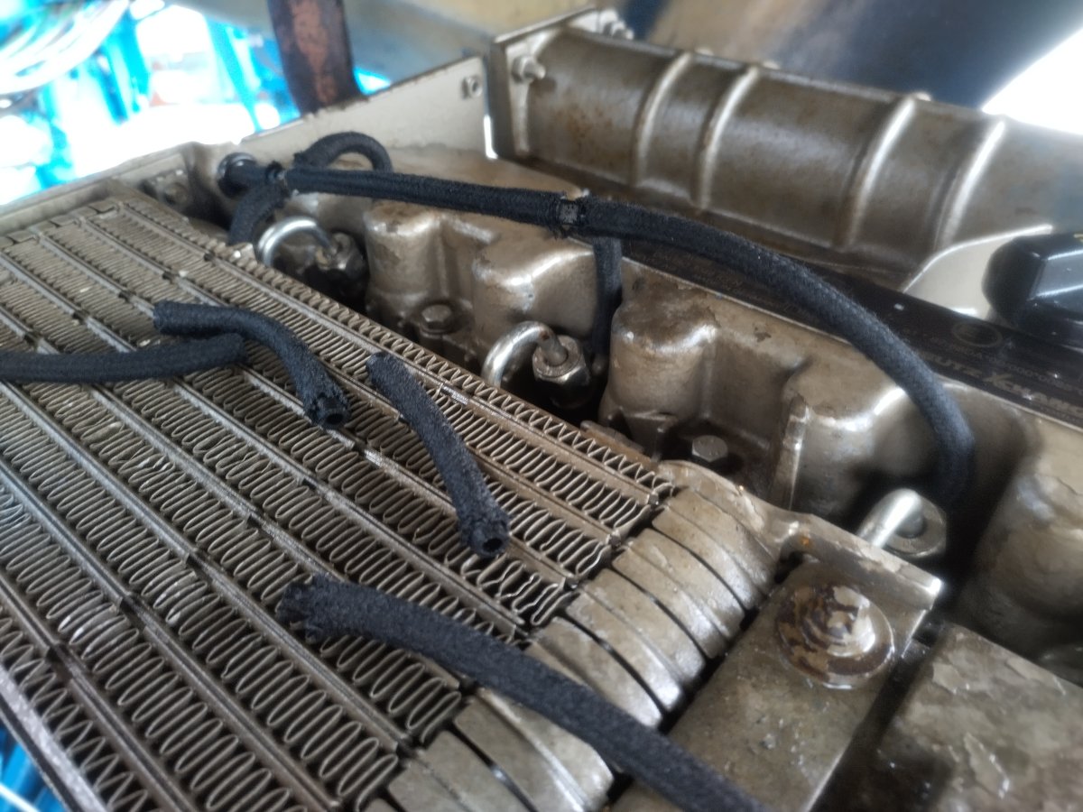 IMG_20251026_114243.jpg IMG_20251026_114243.jpg