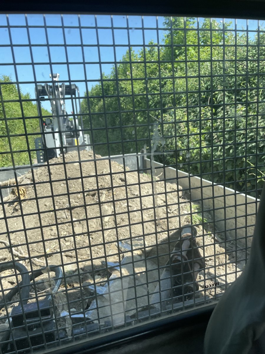 IMG_2028.jpeg