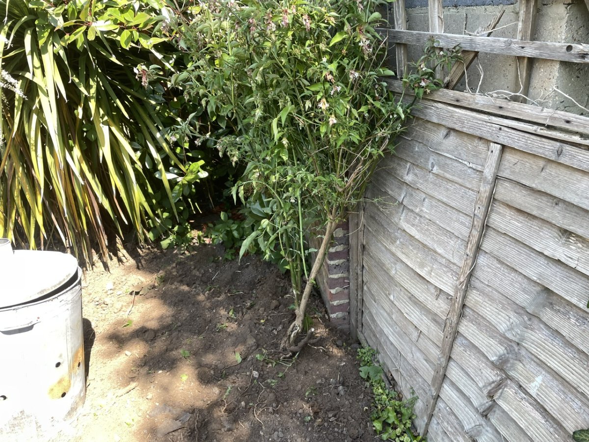 IMG_2058.jpeg