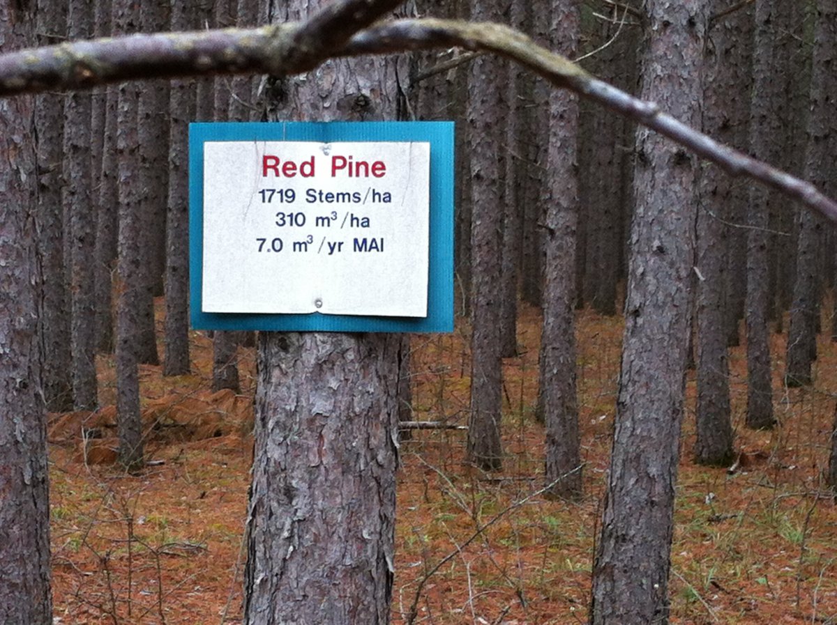 IMG_2120.JPG