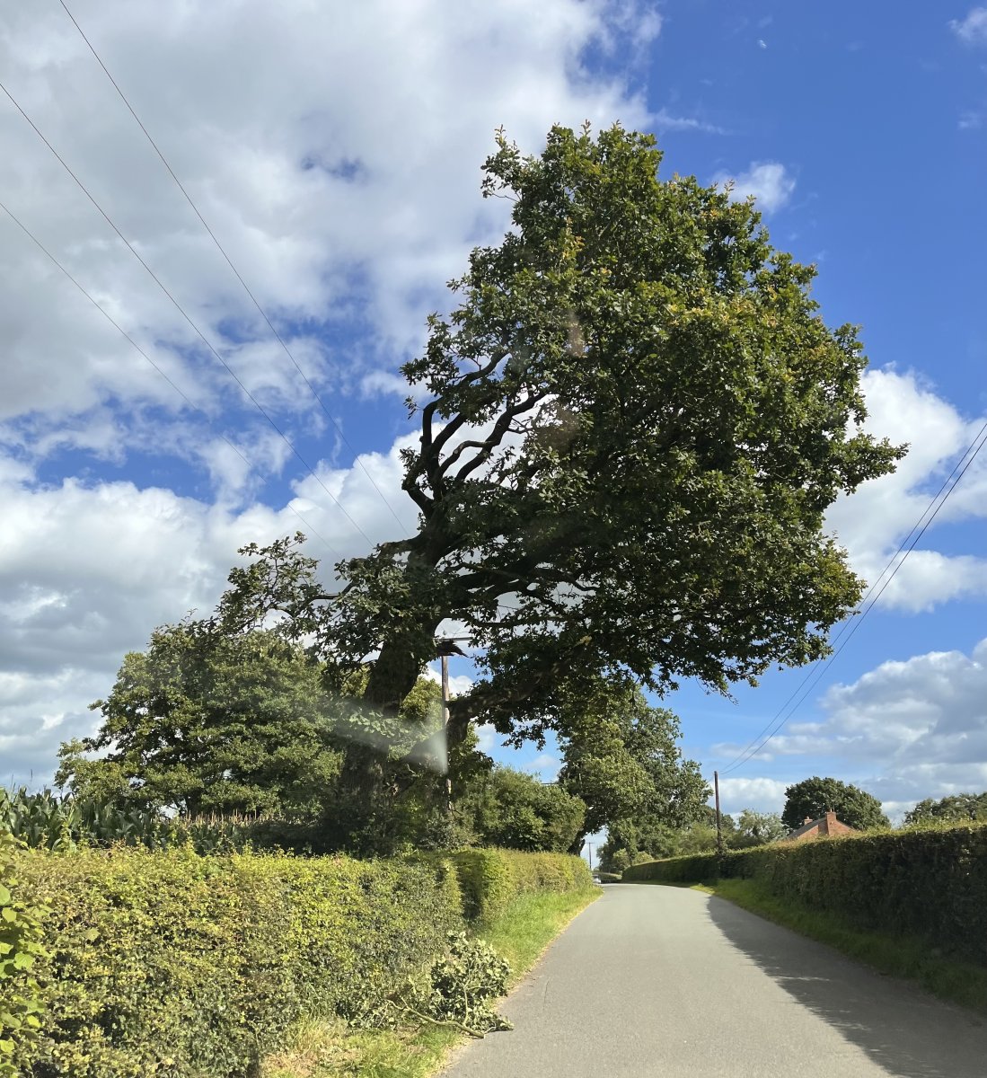 IMG_2576.jpeg