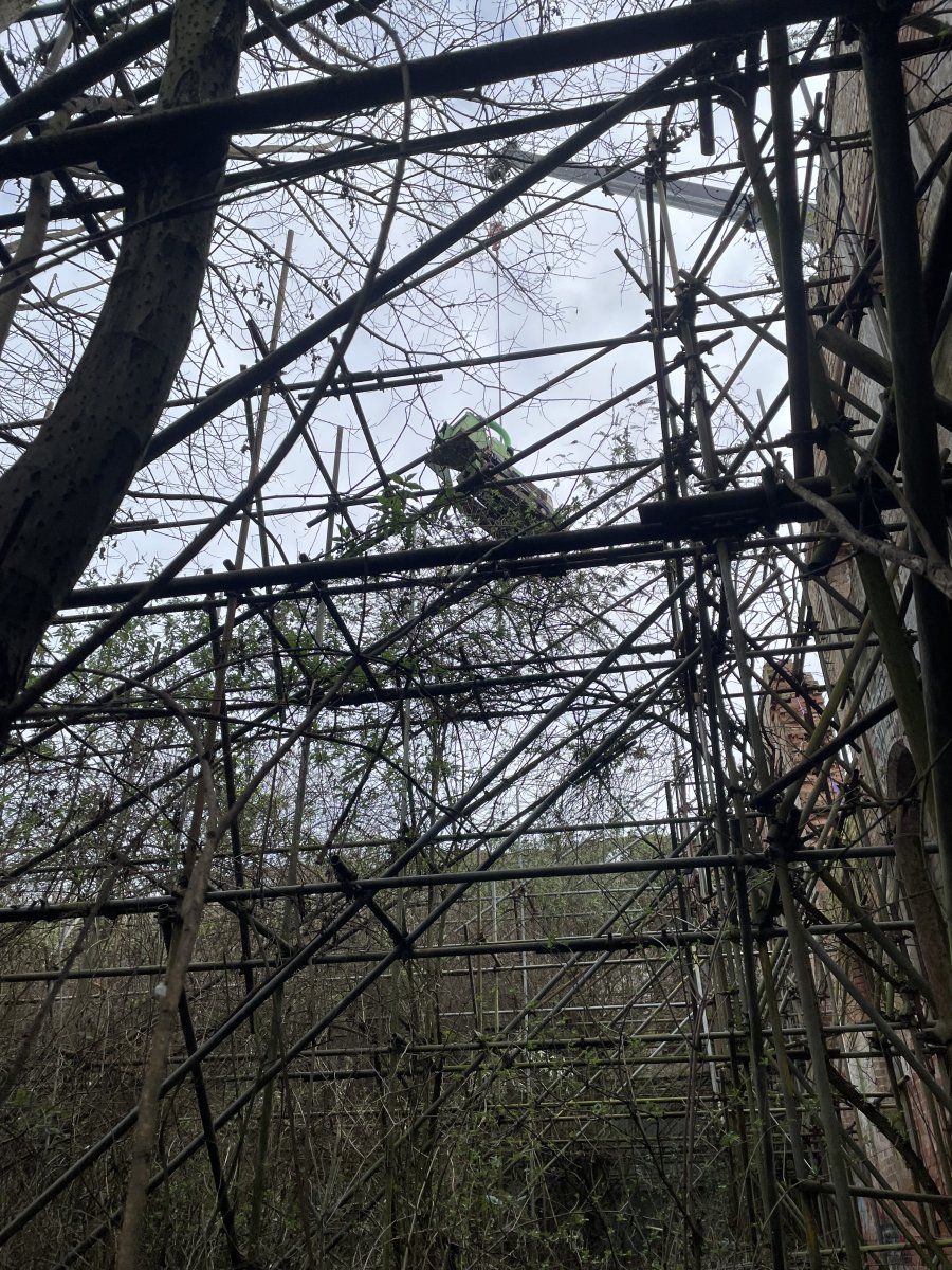 IMG_3058.jpeg
