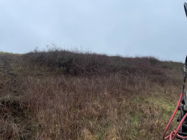 IMG_3801.jpeg