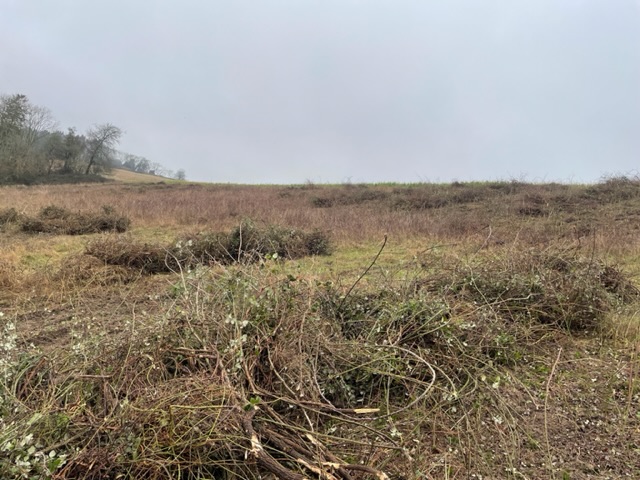 IMG_3802.jpeg
