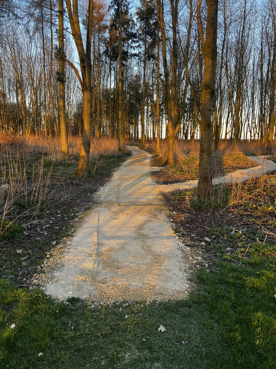 IMG_4521.jpeg