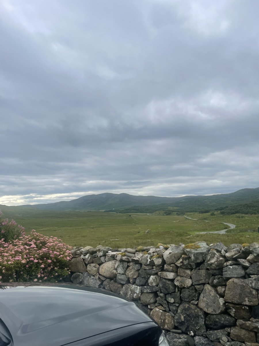 IMG_6356.jpeg