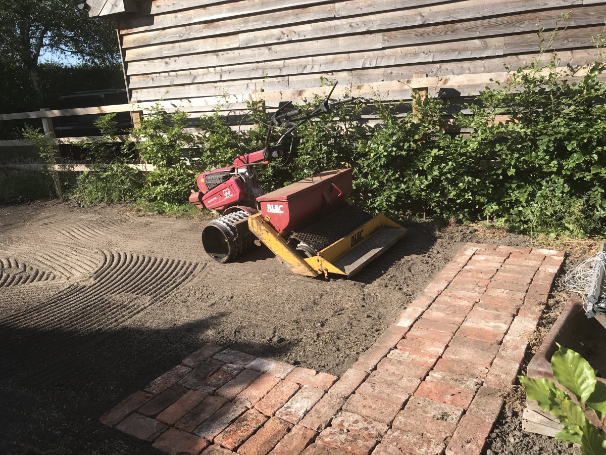 IMG_6596.jpeg