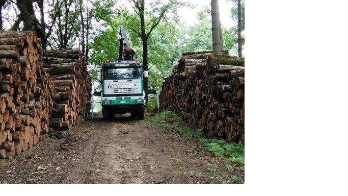 iveco.jpg
