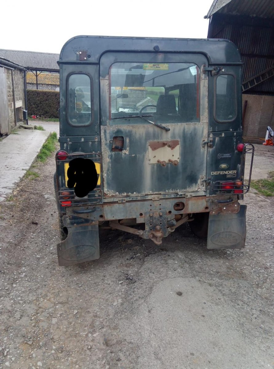 landy2.jpg