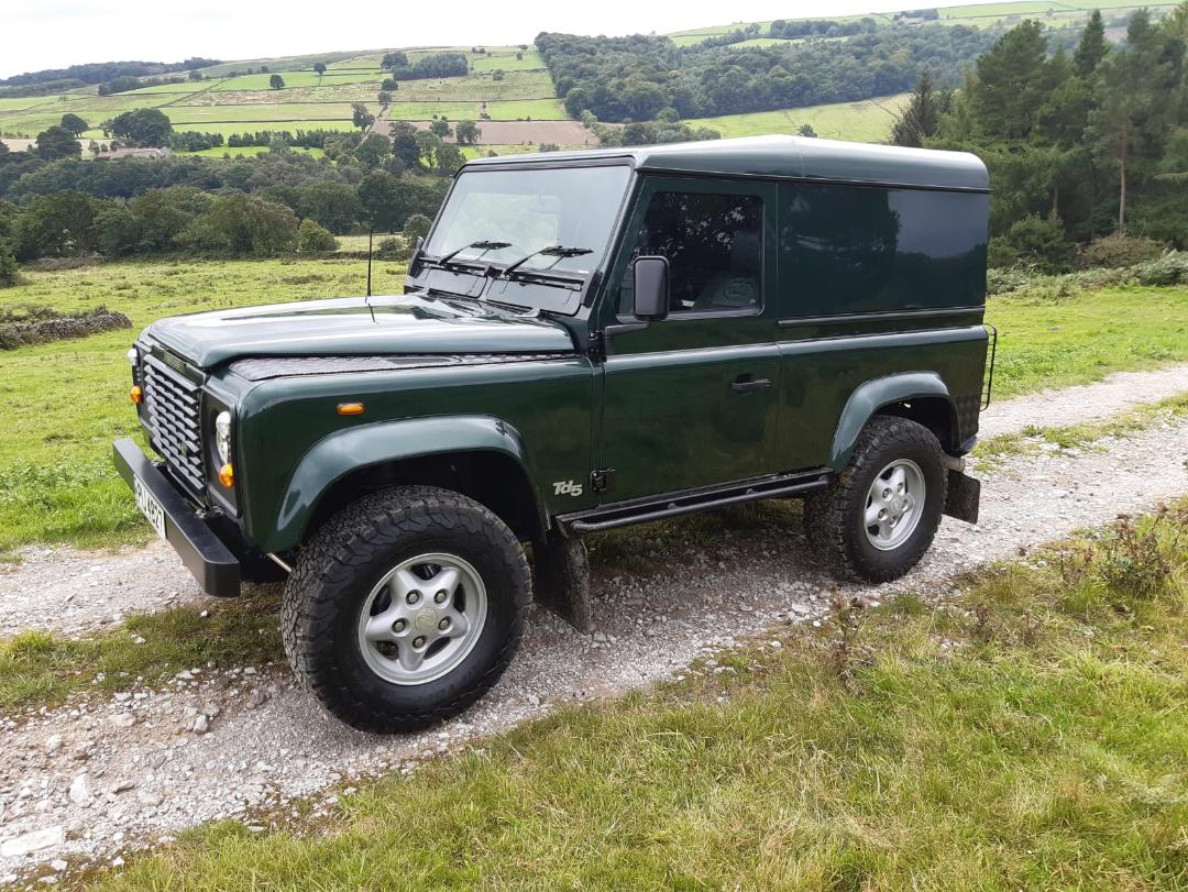 landy3.jpg