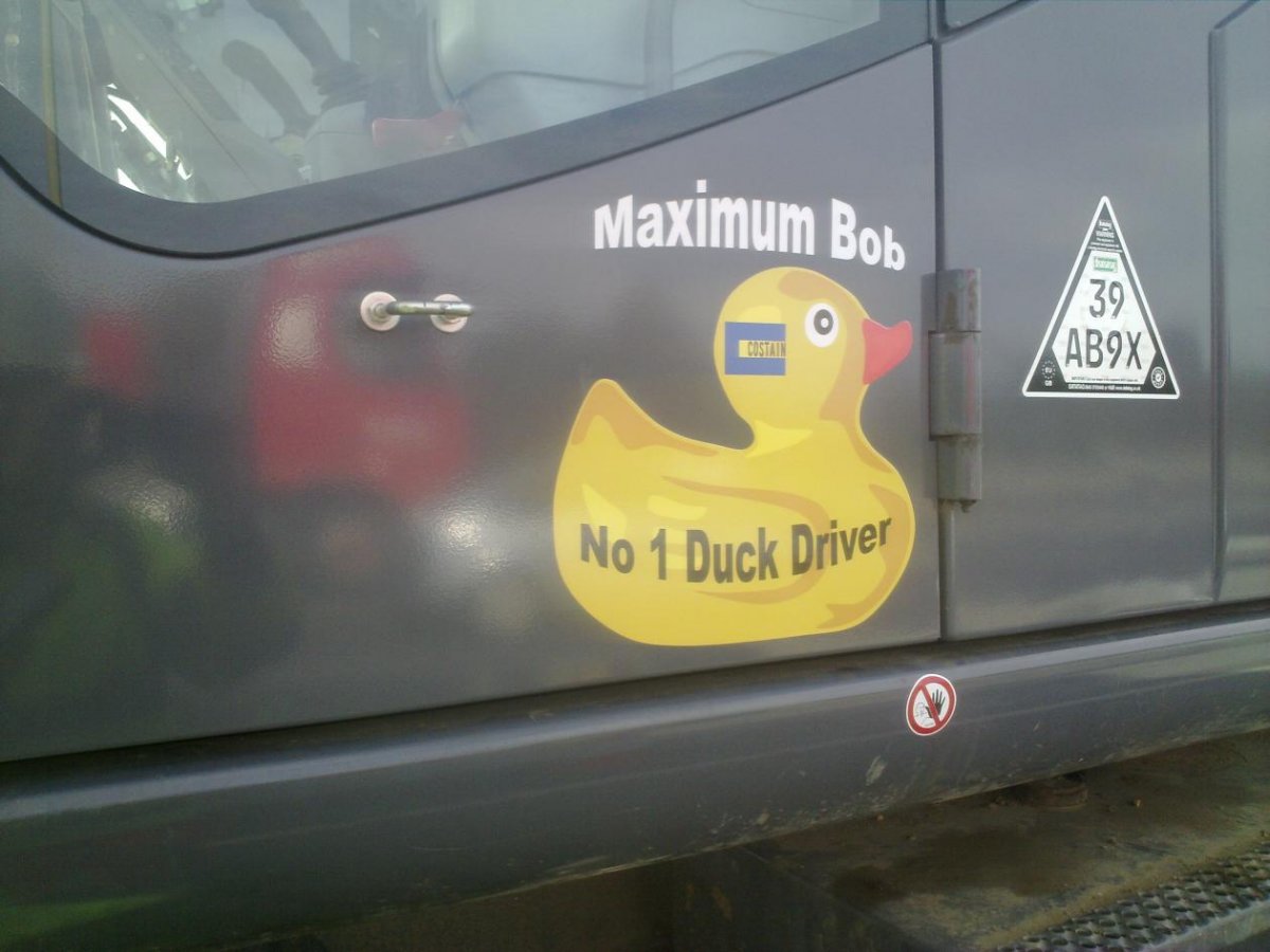 maximum Bob.jpg