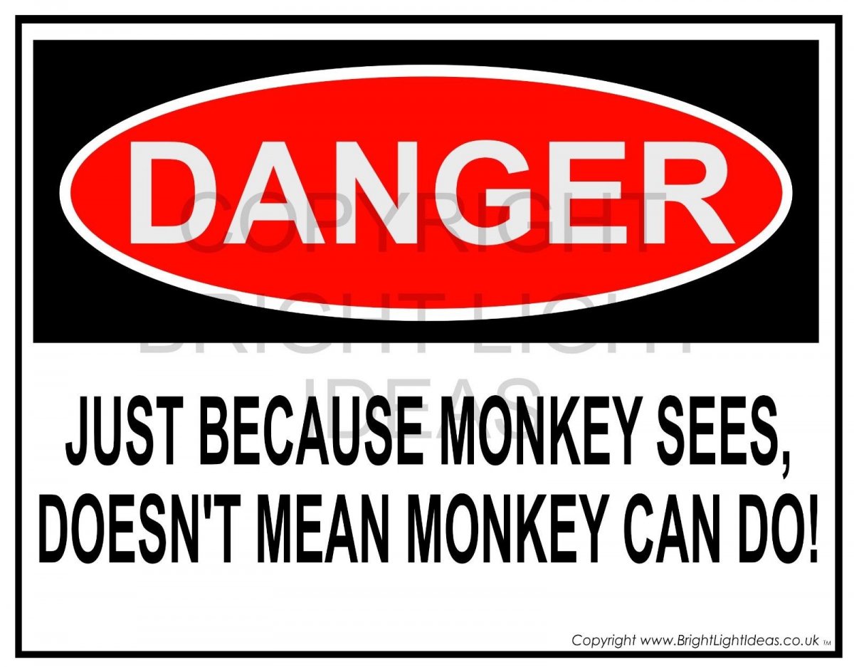 monkey see , monkey do .jpg