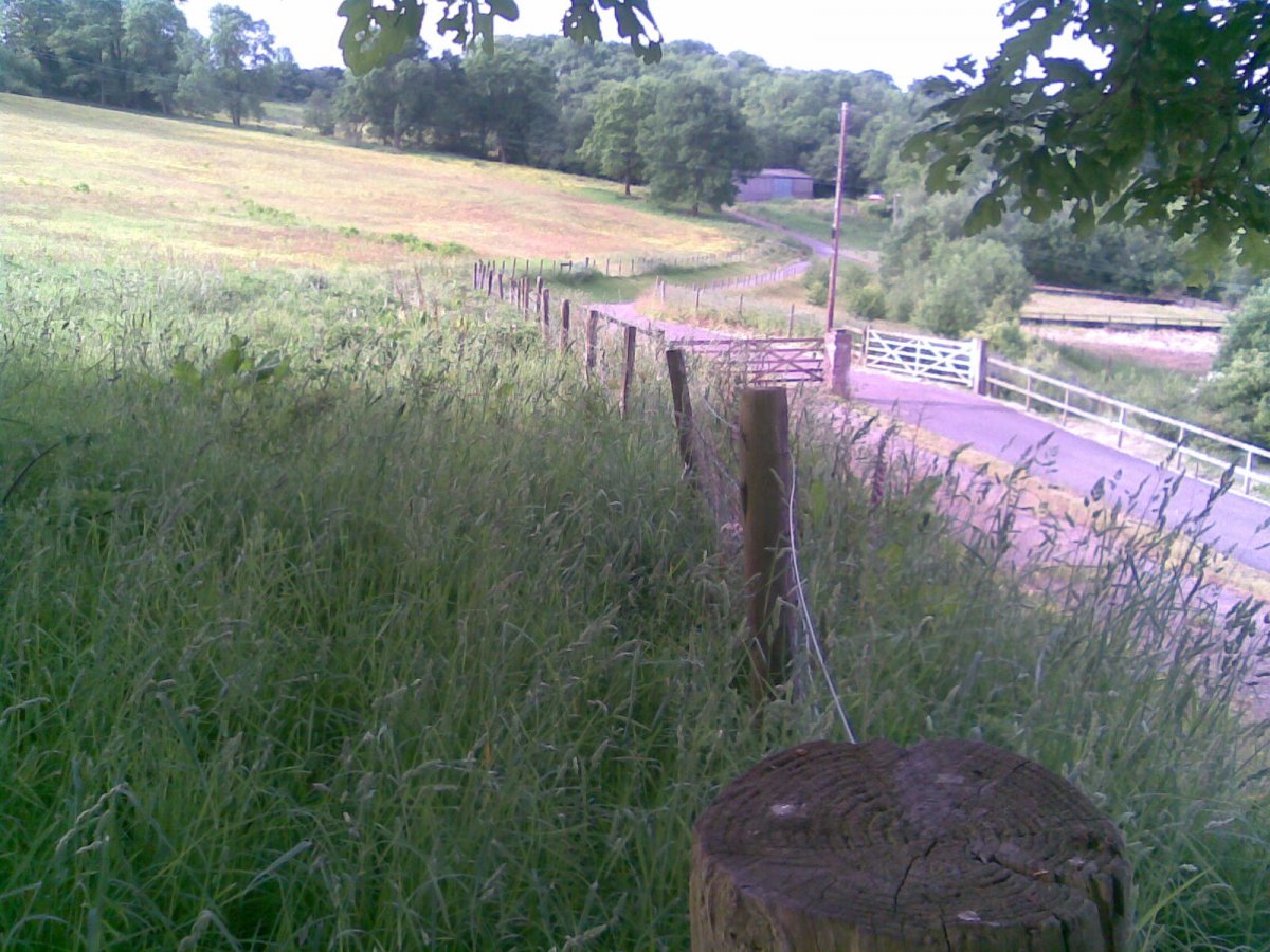 NOKIA 004 7-6-10.jpg