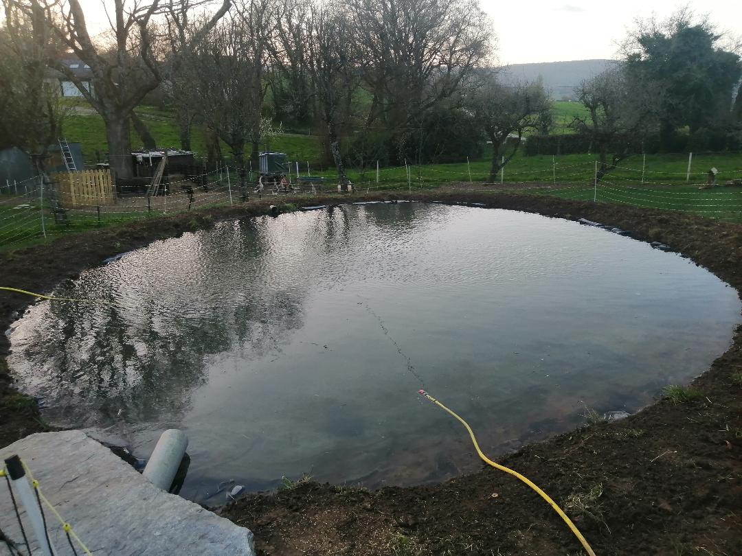 pond.jpg